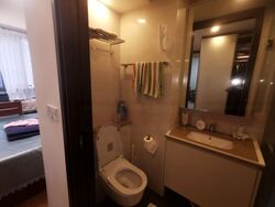 The Lilium (D19), Condominium #460526481